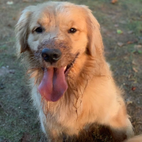 Meet your Posher, Kris - Picture 4 of 6